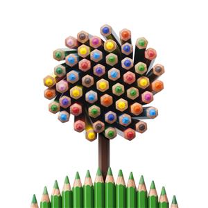 color pencil 